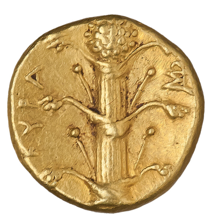 키레네 동전에 새겨진 실피움 모양. 위키미디어 코먼스