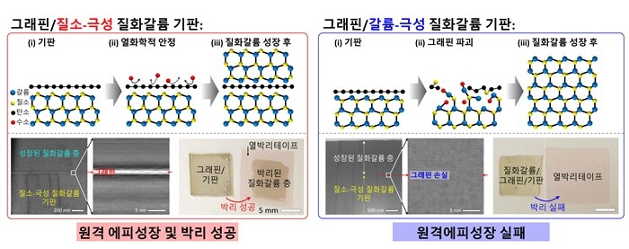 &nbsp; &nbsp; &nbsp; &nbsp; &nbsp; &nbsp; &nbsp; &nbsp; &nbsp; &nbsp; &nbsp; &nbsp; &nbsp; &nbsp; &nbsp; &nbsp; &nbsp; &nbsp; &nbsp; &nbsp; &nbsp; &nbsp; ▲그래핀이 코팅된 질소-극성 기판에서의 원격 에피성장된 박리 가능한 질화갈륨(왼쪽)과 갈륨-극성 기판에서의 기판손상(오른쪽).세종대 제공