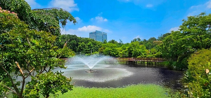 &nbsp; &nbsp; &nbsp; &nbsp; &nbsp; &nbsp; &nbsp; &nbsp; &nbsp; &nbsp; &nbsp; &nbsp; &nbsp; &nbsp; &nbsp; &nbsp; &nbsp; &nbsp; &nbsp; &nbsp; &nbsp; &nbsp; &nbsp; &nbsp; &nbsp; &nbsp; &nbsp; &nbsp; &nbsp; &nbsp; &nbsp; &nbsp; &nbsp;서울과학기술대학교 붕어방 전경.서울과학기술대학교 제공