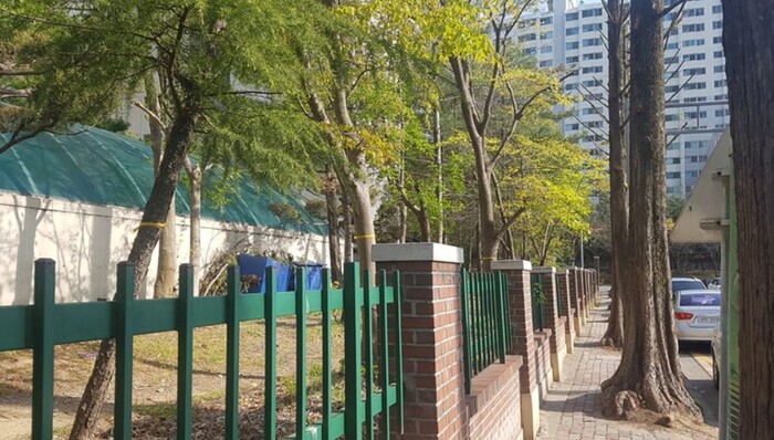 광주시 서구 금호동 도시공사 1단지 아파트에 담장을 허물기 전 메타세쿼이아 가로수 뿌리가 튀어나와 주민들의 통행이 불편했다. 서구청 제공