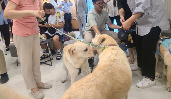 26일 오후 서울 광진구 건국대 부속 동물병원 아임도그너 헌혈센터에서 열린 헌혈견 은퇴식에서 헌혈견들이 서로 인사하고 있는 모습. 윤연정 기자