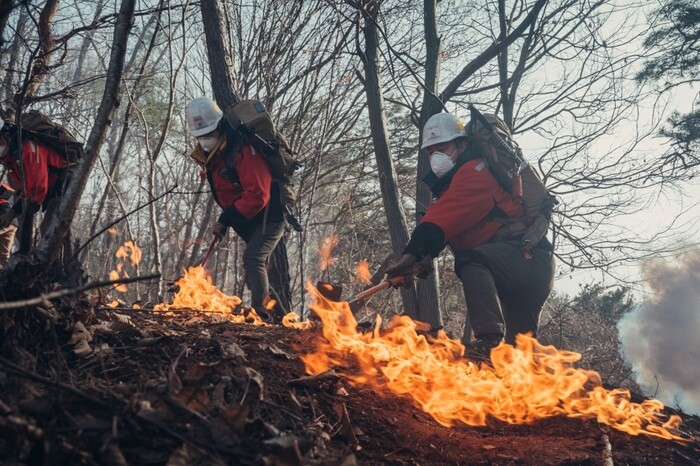 &lt;지리산&gt;의 한 장면. 티브이엔 제공