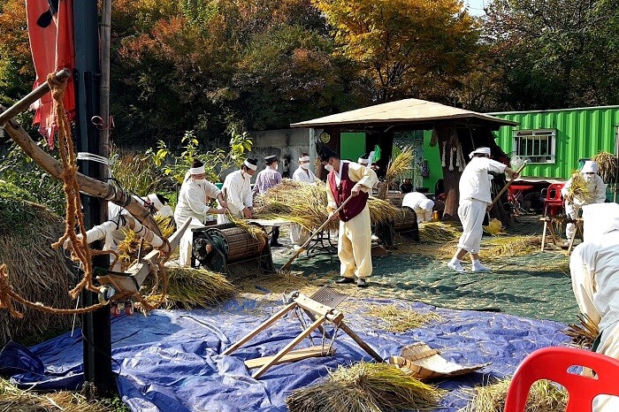 &nbsp; &nbsp; &nbsp; &nbsp; &nbsp; &nbsp; &nbsp; &nbsp; &nbsp; &nbsp; &nbsp; &nbsp; &nbsp; &nbsp; &nbsp; &nbsp;마들농요 현장탐방 특강 중 하나인 '마들공원 벼농사체험'. 삼육대 제공