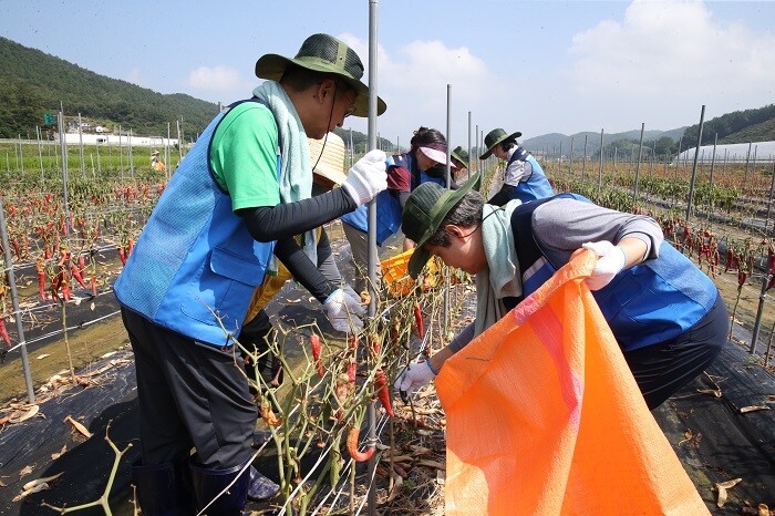 &nbsp; &nbsp; &nbsp; &nbsp; &nbsp; &nbsp; &nbsp; &nbsp; &nbsp; &nbsp; &nbsp; &nbsp; &nbsp; &nbsp; &nbsp; &nbsp; &nbsp; &nbsp; &nbsp; &nbsp; &nbsp; &nbsp; &nbsp; &nbsp; &nbsp; &nbsp; &nbsp; &nbsp; &nbsp; 봉사활동중인 원용걸 서울시립대 총장.서울시립대 제공