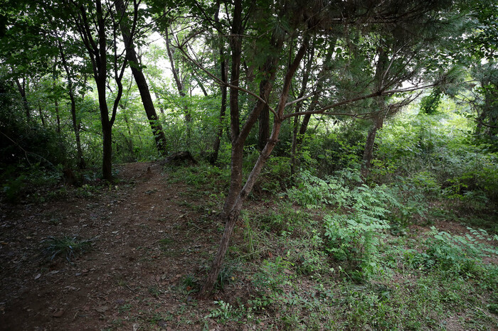 지난 18일 오후 전날 성폭행 사건이 발생한 서울 관악구 신림동의 둘레길 모습. 연합뉴스