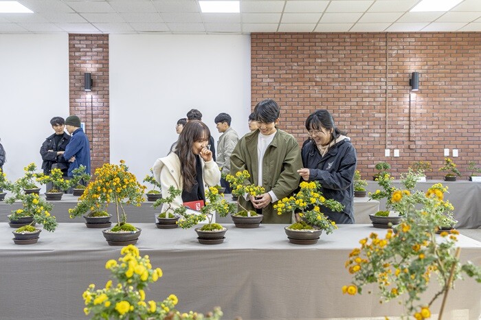 &nbsp; &nbsp; &nbsp; &nbsp; &nbsp; &nbsp; &nbsp; &nbsp; &nbsp; &nbsp; &nbsp; &nbsp; &nbsp; &nbsp; &nbsp; &nbsp; &nbsp; &nbsp; &nbsp; &nbsp; &nbsp; &nbsp; &nbsp; &nbsp; &nbsp; &nbsp; &nbsp; &nbsp; &nbsp; &nbsp; &nbsp; &nbsp; &nbsp; &nbsp; &nbsp; &nbsp; &nbsp; &nbsp; &nbsp; &nbsp; &nbsp; &nbsp; &nbsp; &nbsp; &nbsp; &nbsp; &nbsp; &nbsp; &nbsp; 환경원예전.서울시립대 제공