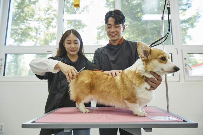 연암대 동물보호계열 애완동물전공 수업 모습. 연암대 제공