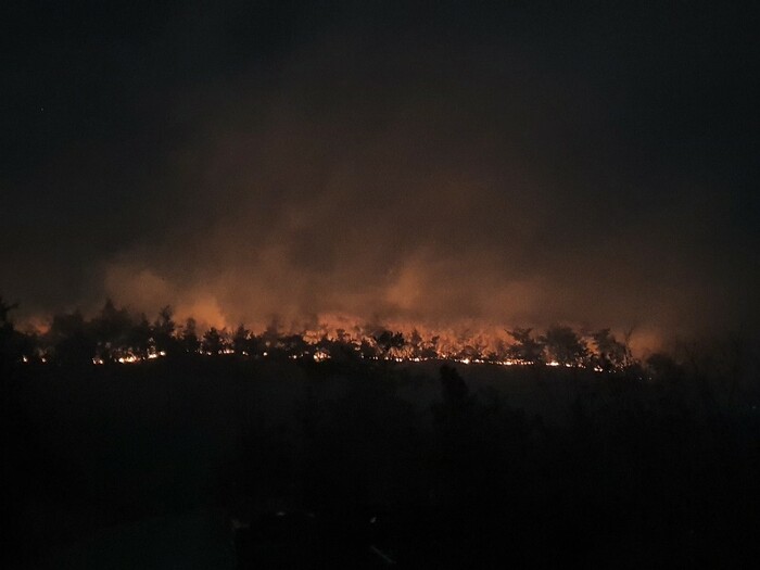 3일 밤 11시16분께 전남 고흥군 금산면 한 야산에서 화재가 발생했다. 연합뉴스