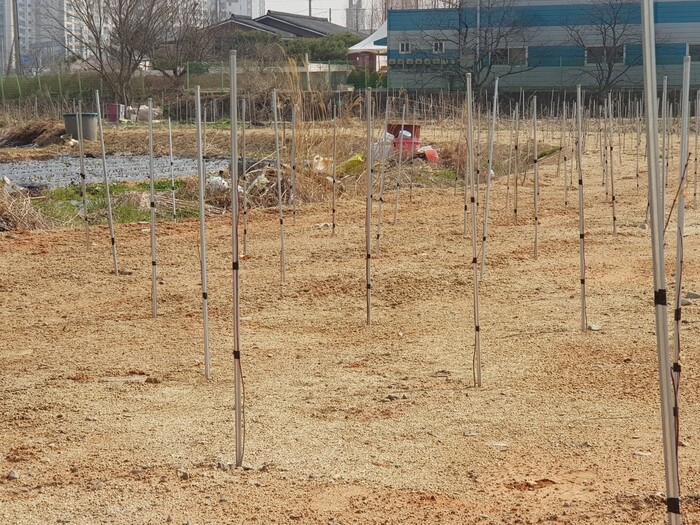 광주시 광산구 산정지구. &lt;한겨레&gt; 자료 사진