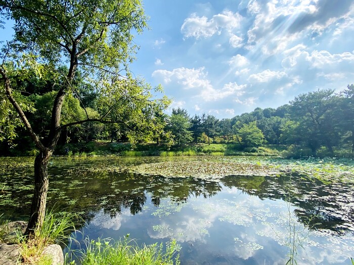 지난달 16일 경기 오산시에 있는 물향기수목원을 찾았다. 도립 수목원인 이곳은 10만평에 이르는 부지에 중부지역 자생원, 습지 생태원, 한국의 소나무원 등 19개의 주제원을 중심으로 1930여종의 식물을 보유하고 있다. 김지윤 기자