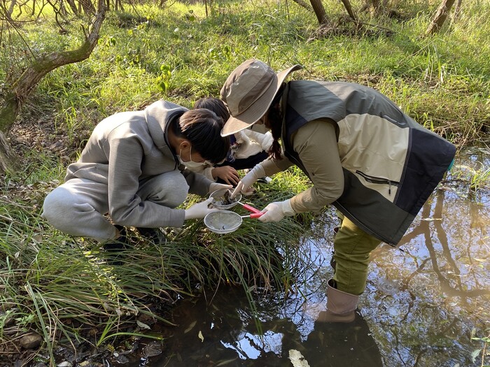 운곡 람사르습지 생태탐방 활동 중인 학생들의 모습. 에코매니저와 함께 수서곤충을 관찰하고 있다.