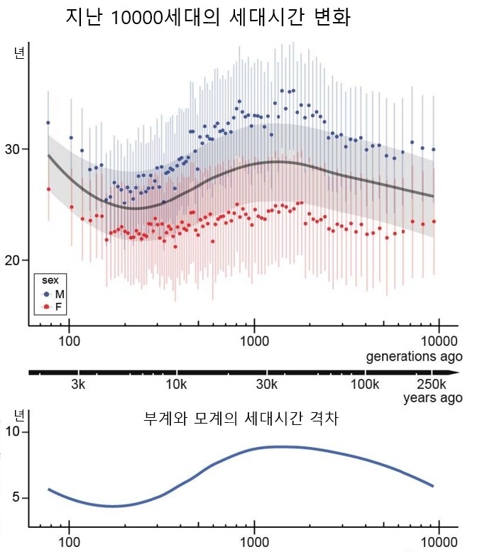 지난 10000세대의 부계(파란색), 모계(빨간색), 평균(회색) 세대시간 추이(위 그래프)와 부계와 모계의 세대시간 격차 추이(아래 그래프). 인디애나대 제공 ※ 이미지를 누르면 크게 볼 수 있습니다.