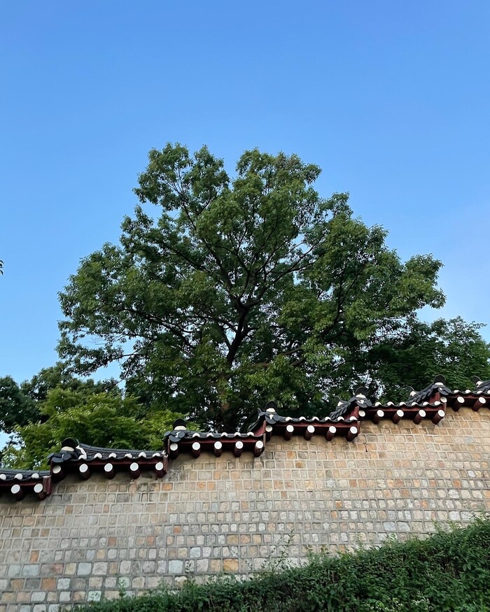 매일 달리기 덕분에 언제나 배경으로만 생각했던 풍경들을 눈여겨 보게 됐다.