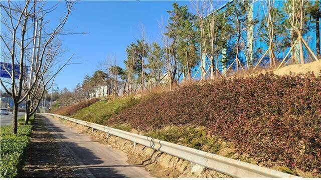 울산시가 올해 온산국가산단 주변에 조성한 미세먼지 차단숲.  울산시 제공