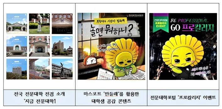 공식 인스타그램에 올라온 콘텐츠 이미지 갈무리. 전문대교협 제공 공식 인스타그램에 올라온 콘텐츠 이미지 갈무리. 전문대교협 제공