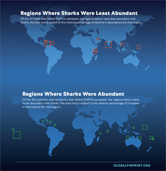 이번 조사에서 암초상어가 가장 빈약한 곳(위)과 풍부한 곳. 글로벌 린프린트 제공