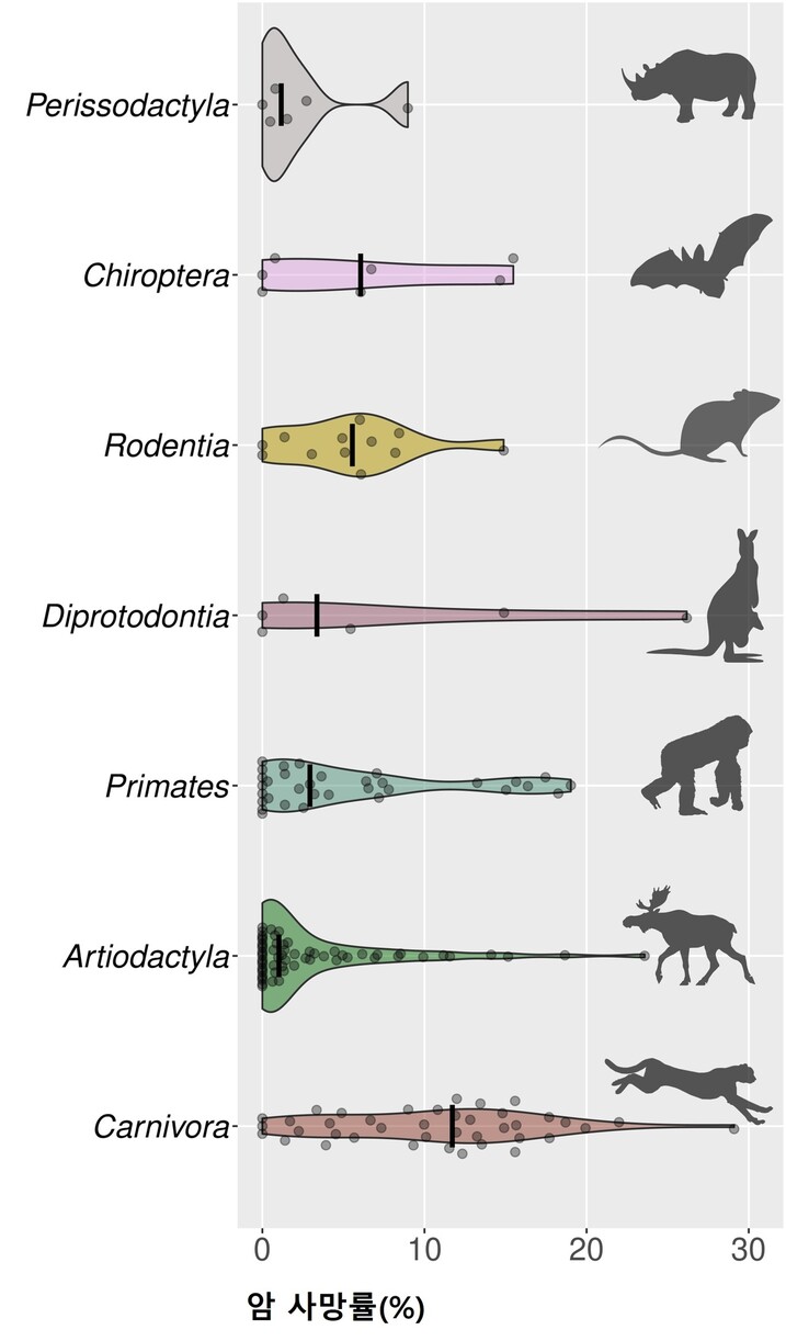 포유류의 분류군 별 암 사망률 비교. 우제류(밑에서 2번째)와 코뿔소 등 기제류(맨 위)가 가장 낮고 육식동물(식육목, 맨 아래)이 가장 낮다. 오르소야 빈체 외 (2021) ‘네이처’ 제공.