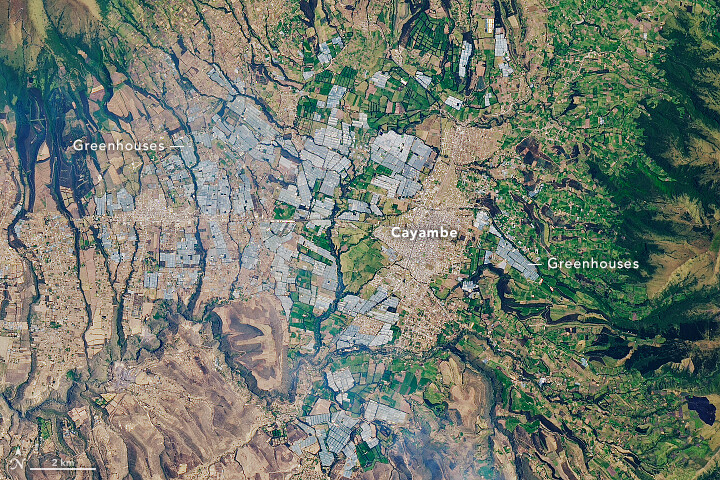 에콰도르의 안데스산맥 고지대에 있는 카얌베계곡의 비닐하우스다. 북미로 보낼 장미를 주로 재배한다. 2017년 9월20일 랜드샛 위성으로 찍은 사진이다. 나사 제공