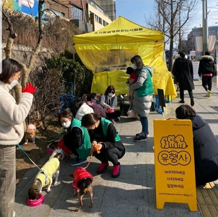 지난해 현장 사진. 용산구 제공