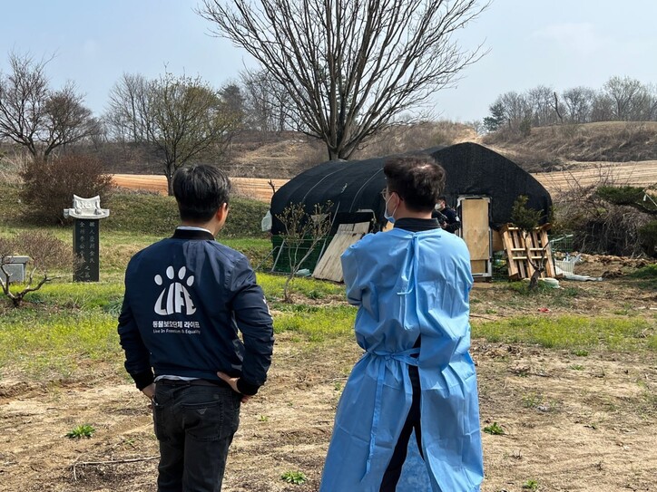 신종 펫숍이 처리업자에게 넘긴 동물 사체 118두가 매장된 장소. 라이프 제공