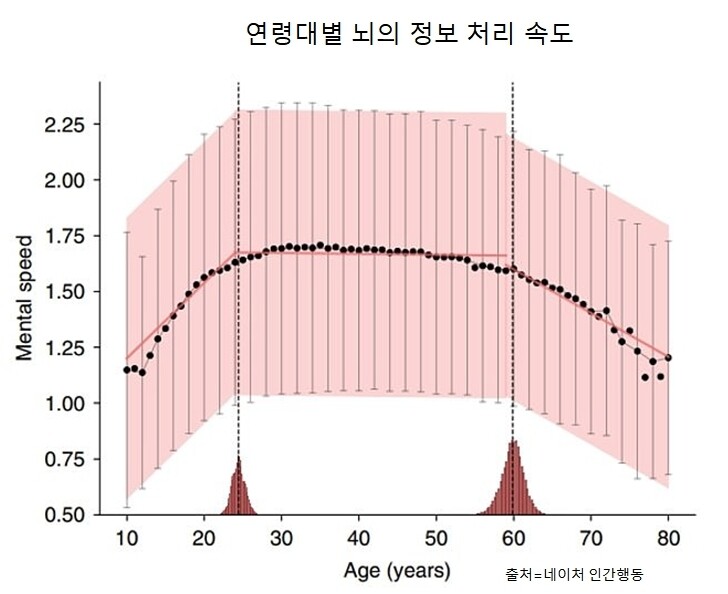 뇌의 정보 처리 속도는 30살에 정점을 찍고, 이후 60살까지는 안정세를 유지한다.