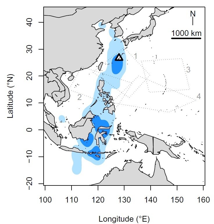 검은눈썹제비갈매기의 번식지인 오키나와(세모)와 월동지인 인도네시아 섬들(파랑), 분포지(하늘색). 점선과 숫자는 태풍 발생 구역. 티에보 외 (2020) ‘해양 생물학’ 제공