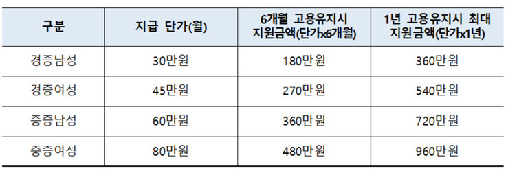 장애 노동자 성별과 중증도에 따른 지원금 표. 고용노동부 자료 갈무리