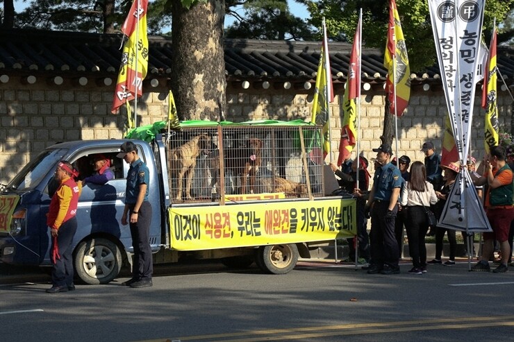 지난 2017년 육견협회가 서울 광화문에서 개를 동반한 집회를 벌이고 있다. 카라 제공