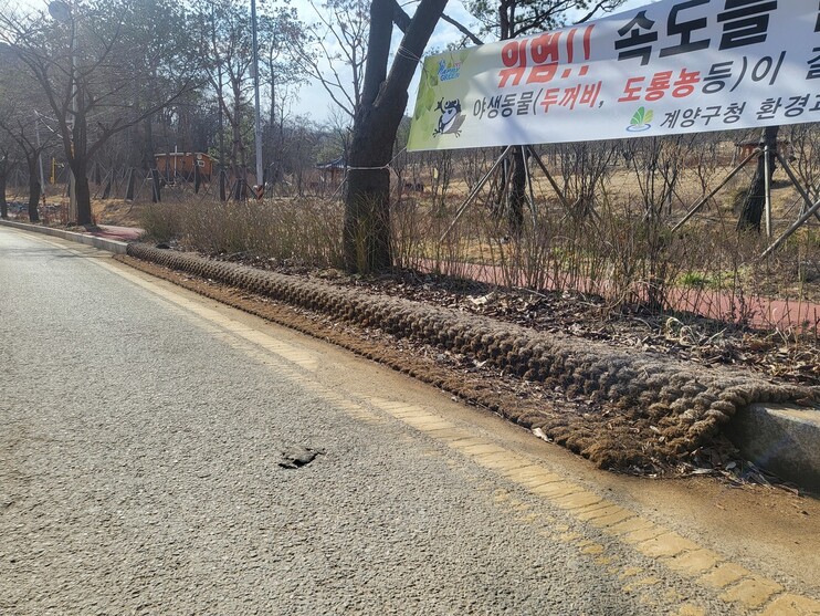 14일 오전 9시30분게 인천 계양구 다남동에 있는 다남녹지 주변 도로에 두꺼비로 추정되는 사체가 놓여 있다. 이승욱 기자