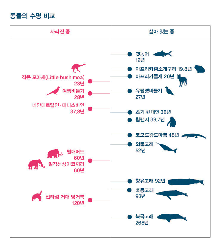 동물의 수명 비교, 한겨레21.