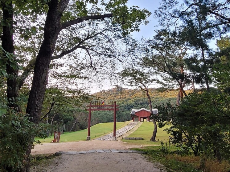 김포 장릉 능역의 들머리 풍경. 진입로는 울창한 수목들로 둘러싸여 있다. 노형석 기자