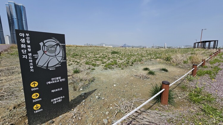 지난 21일 부산항 북항 재개발구역의 친수공원 야생화 단지 모습. 김영동 기자