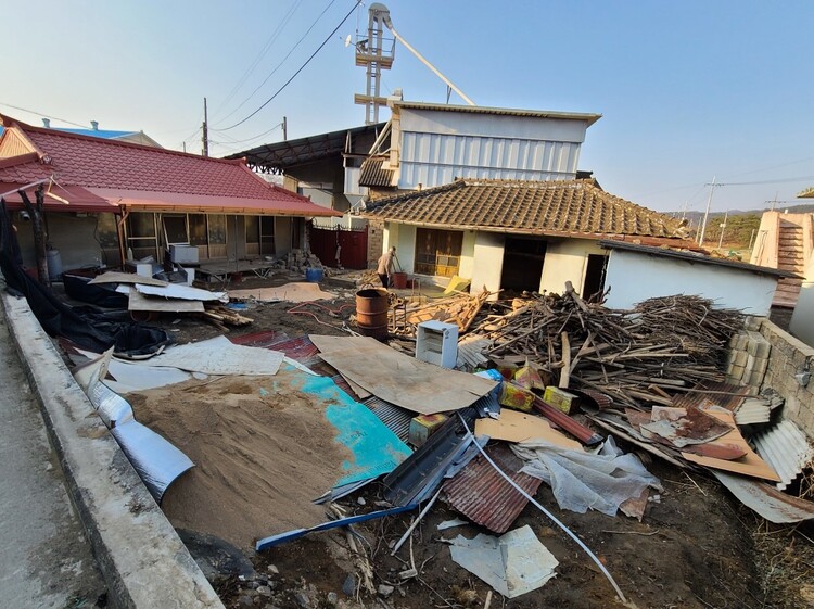 공사할 때의 상주한옥 모습. 본채와 별채에서 쏟아져 나온 철거 폐자재와 전 집주인이 남긴 땔감이 마당에 쌓여 있다. 김수란씨 제공