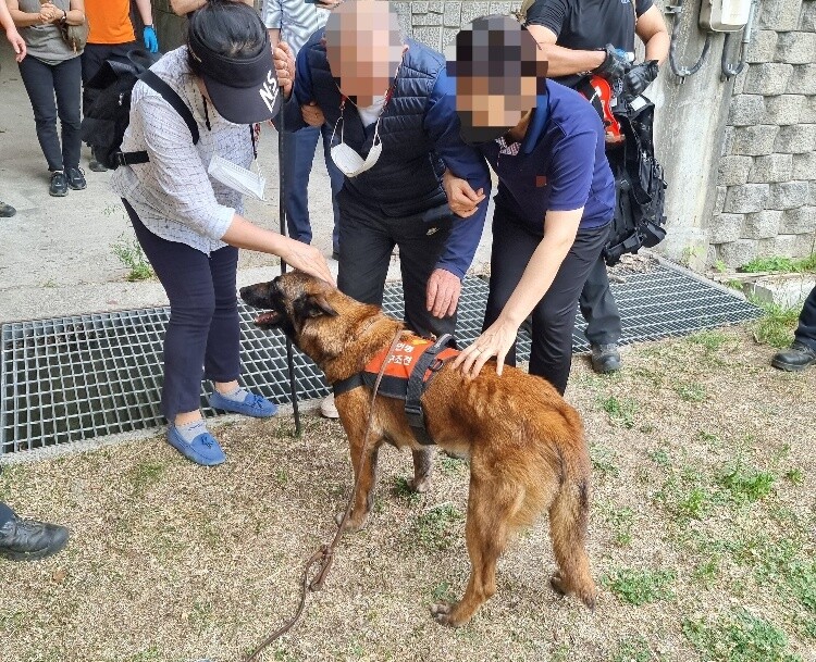 119 인명 구조견 ‘전진’이 지난 3일 경기도 성남에서 실종된 치매 노인을 구조한 뒤 칭찬을 받고 있다. 경기도 북부소방재난본부 제공