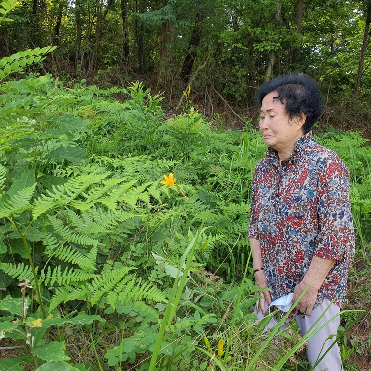 지난 1일 오후 전남 화순군 사평면 벽송리 한 야산의 아버지 묘지 앞에 선 송순기씨. 정대하 기자