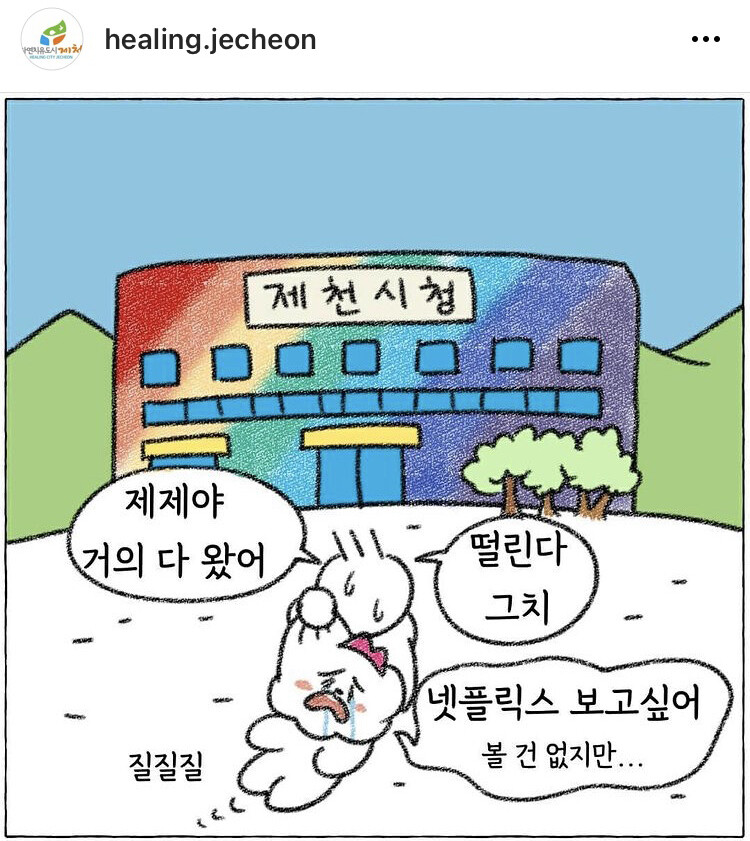 제천시정 인스타그램 화면 갈무리