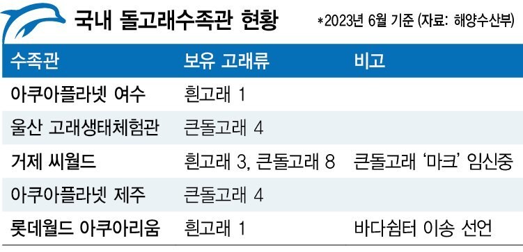 그래픽_영상소셜팀 조정은