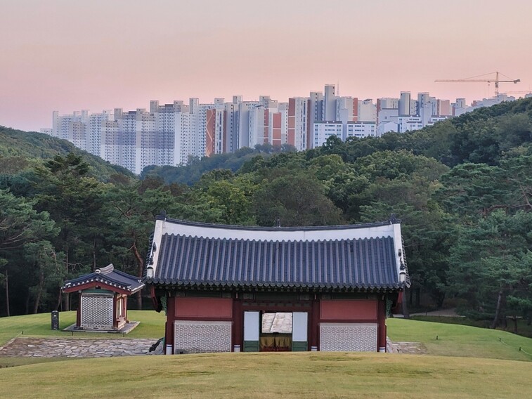 지난 19일 오후 경기 김포 장릉 봉분 앞 언덕에서 남쪽을 조망한 모습이다. 언덕에서 정면을 바라볼 때 축선상 시야에 들어와야 할 인천 계양산이 장벽처럼 들어선 고층아파트 건물군에 완전히 가려졌다. 노형석 기자