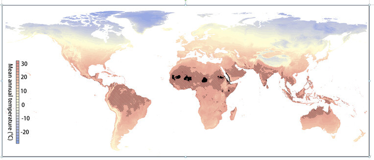 인류가 현재 추세로 온실가스를 계속 배출할 경우 적도 부근 검게 표시된 지역과 같은 연평균 기온 29도 이상인 환경이 50년 뒤 그 주변 빗금 친 지역까지 확대될 전망이다. 2070년 이 지역에는 약 35억명의 사람들이 거주할 것으로 예측됐다. 미국 국립과학원회보(PNAS) 제공