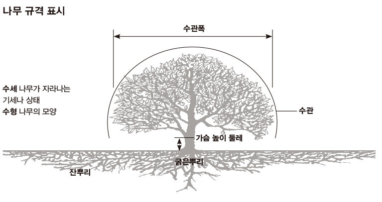  ※ 이미지를 누르면 크게 볼 수 있습니다.