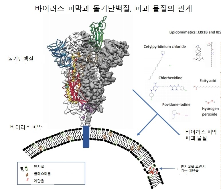 과학저널 ‘펑션’에서 인용.