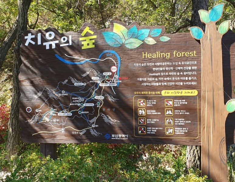 부산시 기장군 치유의 숲 안내판. 부산시 제공