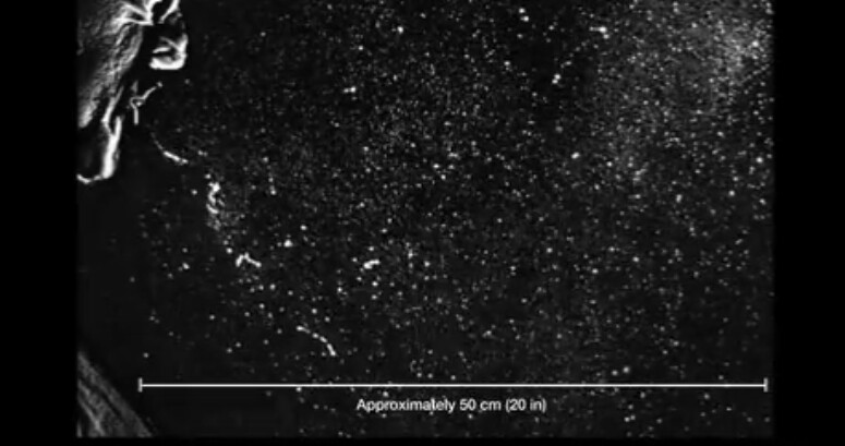입에서 50cm 거리까지 비말 입자들이 퍼져나가는 것을 고속 촬영한 사진. JAMA 제공