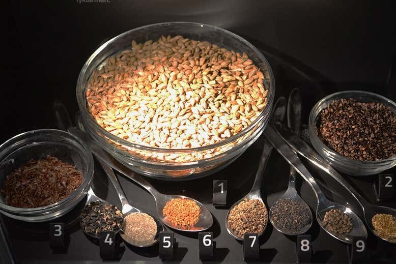 톨룬드맨의 마지막 식단에 쓰인 식재료. 1은 보리, 2는 명아자여뀌 씨앗, 3은 아마. 실케보르박물관 제공