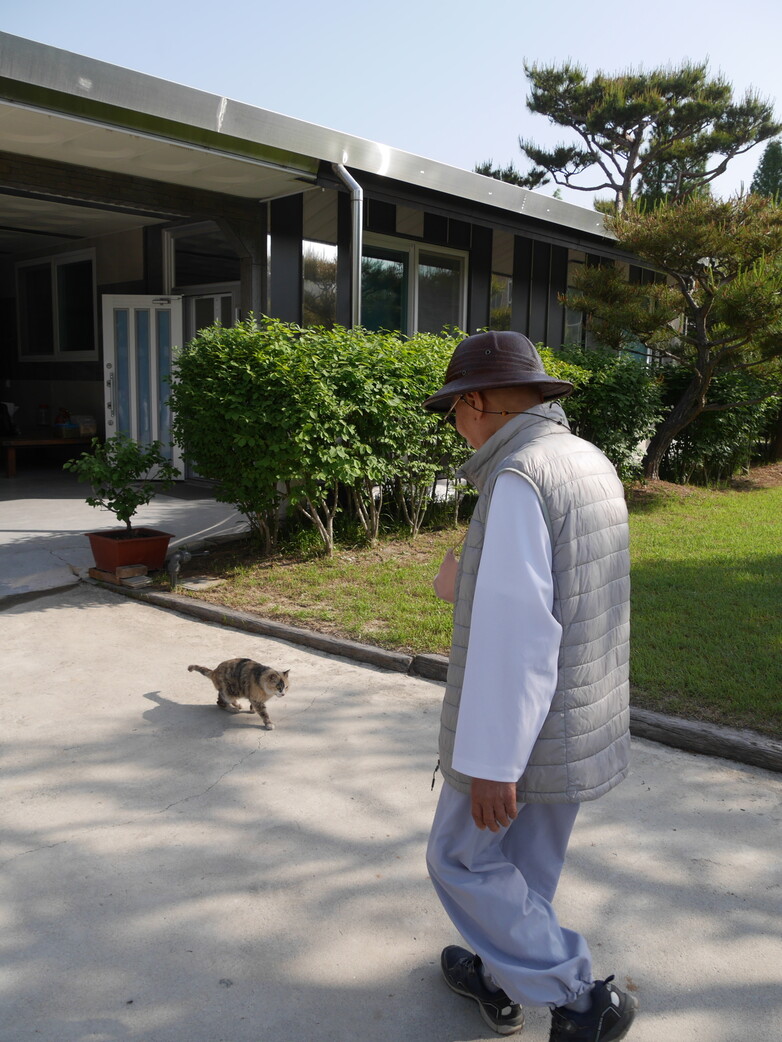 구룡마을의 길고양이가 상사원으로 들어와 산다. 좌산 상사가 나오면 쓰다듬어달라며 다가온다. 조현 종교전문기자