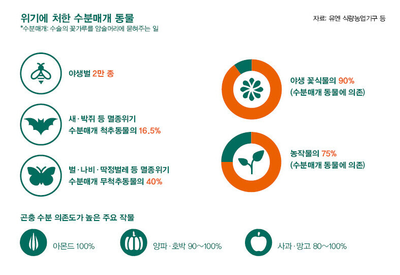 위기에 처한 수분매개 동물. 자료 유엔 식량농업기구 등. ※ 이미지를 누르면 크게 볼 수 있습니다.