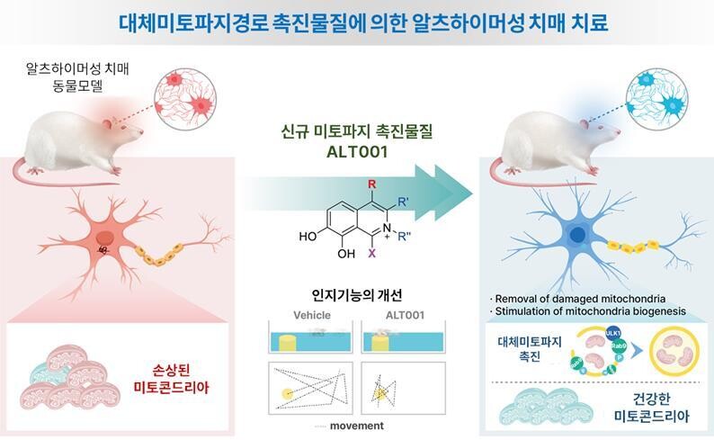 전남대병원 등 공동연구팀이 개발한 알츠하이머성 치매 치료 물질의 작용 원리.전남대 제공