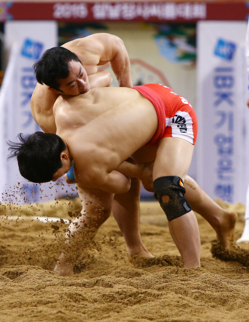 2015년 2월17일 경북 경산실내체육관에서 열린 '2015 설날장사씨름대회' 태백장사(80㎏ 이하) 예선에서 윤필재(청)와 김광열(홍)이 힘을 겨루고 있다.  연합뉴스