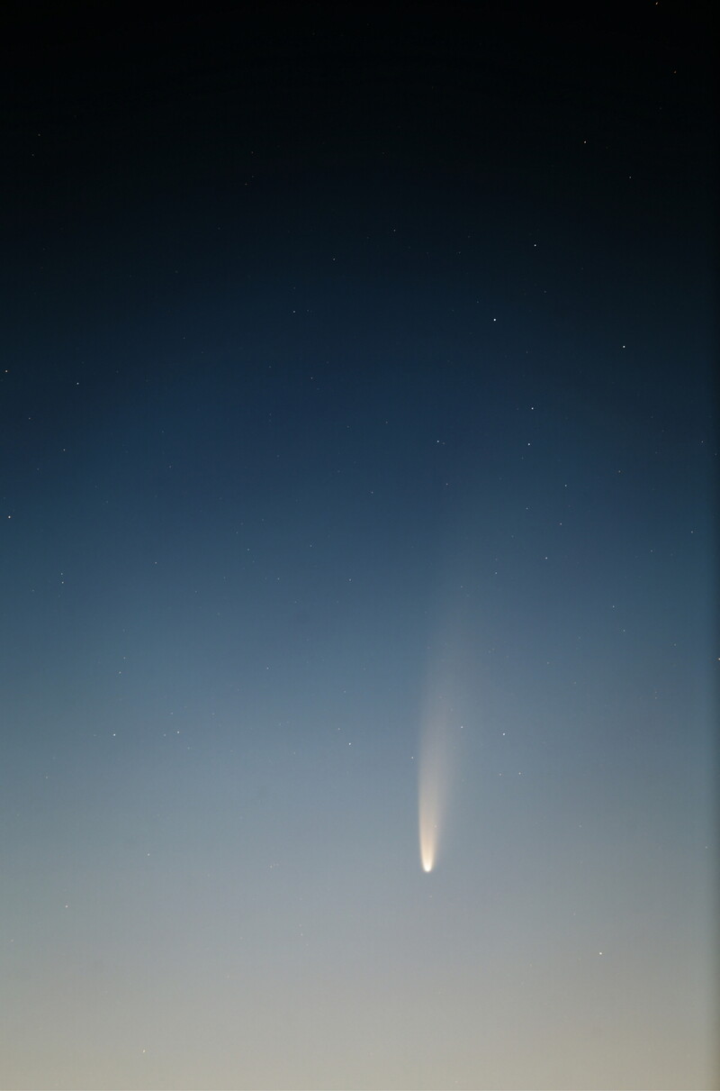 2020년 7월8일 새벽 4시24분 강원도 태백시에서 촬영한 니오와이즈 혜성(C/2020 F3). 일출 전 강원도 태백시 북동쪽 지평선 근처 마차부자리 아래에서 포착된 사진으로, 밝은 코마와 기다란 꼬리를 볼 수 있다. 한국천문연구원 박영식 선임연구원 촬영