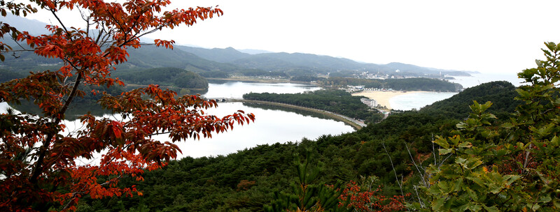 응봉에서 바라본 화진포와 해변. 김선식 기자